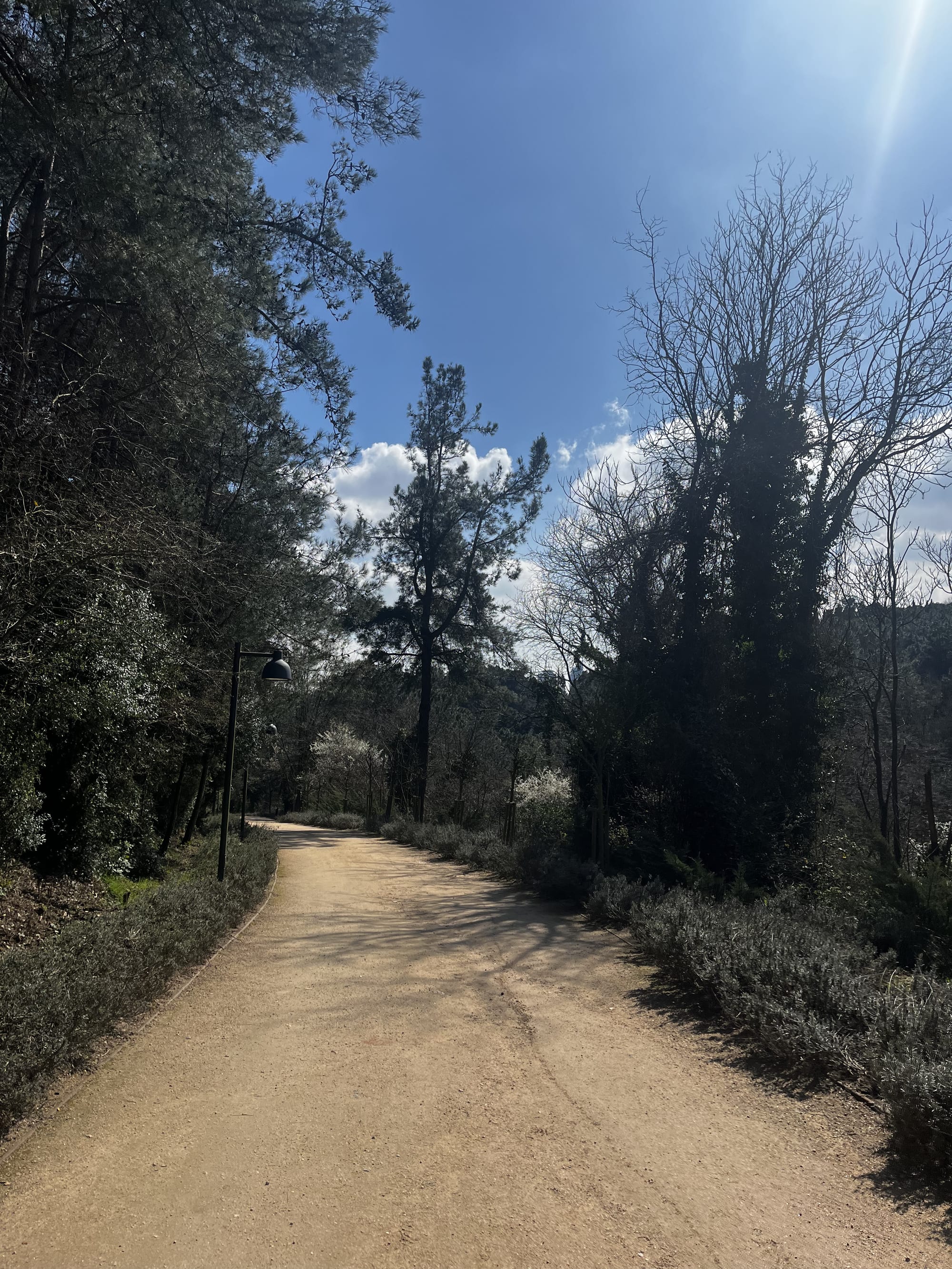 Güneşle parıldayanlar ve patika bir yol